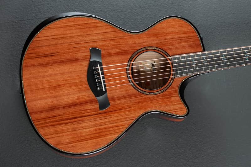 Taylor Builder's Edition 912CE Honduran Rosewood image 1