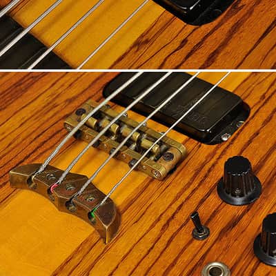 Alembic Spoiler Bass image 8