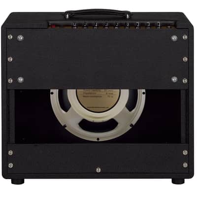 Friedman Runt 50 Combo image 5