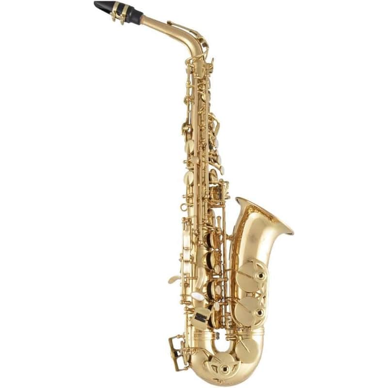 Selmer SAS511 Advanced Eb Alto Saxophone image 1