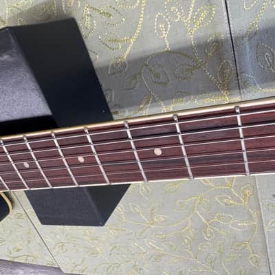Johnson JR-550. Acoustic Electric Resonator.(W Hardcase)(Biscuit) image 3