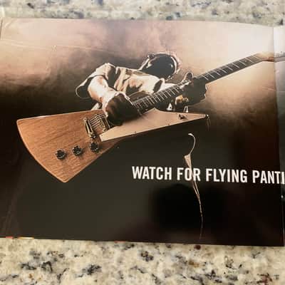 Gibson Catalog 2001 Les Paul Standard Custom Classic Studio Flying V SG Supreme Special Junior ES-175 335 B.B King 135 Explorer Firebird Double Neck Chet Atkins Thunderbird image 8