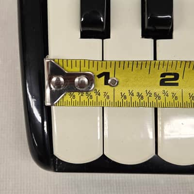 Pancordion Video 41/120 Piano Accordion Ready To Play 19" Keybed image 4