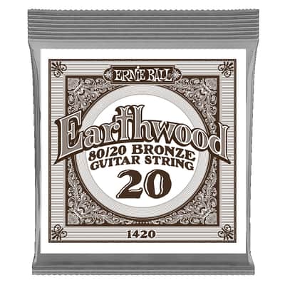 Ernie Ball .020 Earthwood 80/20 Bronze Guitar Strings 6 Pack image 1