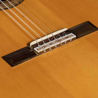 Amalio Burguet 2M | Solid Spruce / Solid Indian Rosewood | 2005 Handmade Spanish Classical Guitar image 3