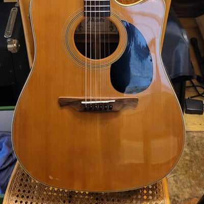 Alvarez RD-30SC Natural Acoustic Electric Dreadnought Guitar image 1