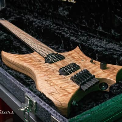 Reichardt Guitars "The Horsemen" 6-String Multiscale image 6
