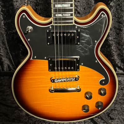 D'Angelico Deluxe Brighton Vintage Sunburst With Free Hard Case image 2