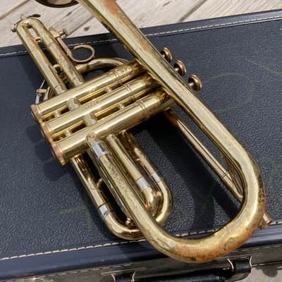 Reynolds Medalist Cornet Lacquer image 6