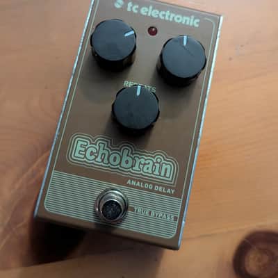 TC Electronic Echobrain Analog Delay Pedal | Reverb