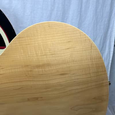 Epiphone Dot Deluxe Semi-Hollow Body Electric Guitar image 12