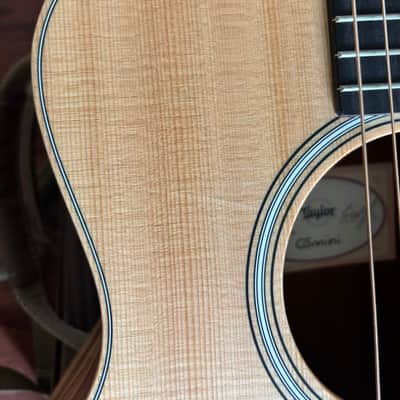Taylor GS Mini-e LTD Horse Head Grain African Ziricote image 10