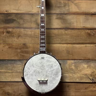 Epiphone Mastertone Bowtie Open Back Banjo w/bag image 4
