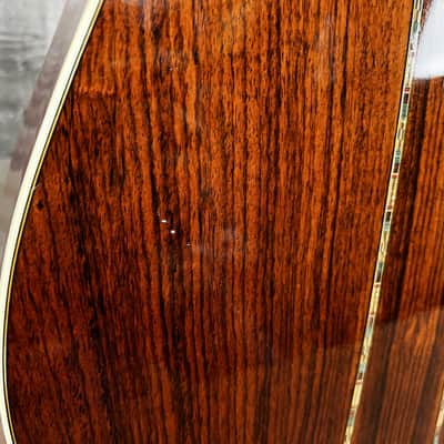 Segovia Sessions Series 12-String 1970's W/HSC image 11