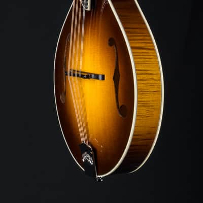 Collings MT2 Mandola Sunburst Adirondack Spruce and Flamed Maple NEW image 13