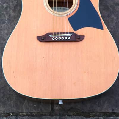 ♫ Vintage + Super Cool Top Line Eko (Rare Blondy!) c.1974 Pro Refurb♫ image 5