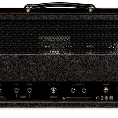 Friedman Steve Stevens SS-100 V2 Head SHOWROOM image 3