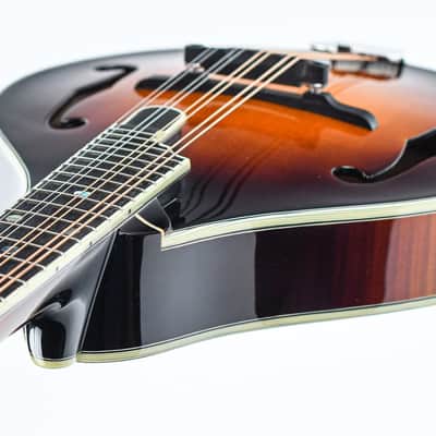 Eastman MD805 Sunburst image 10