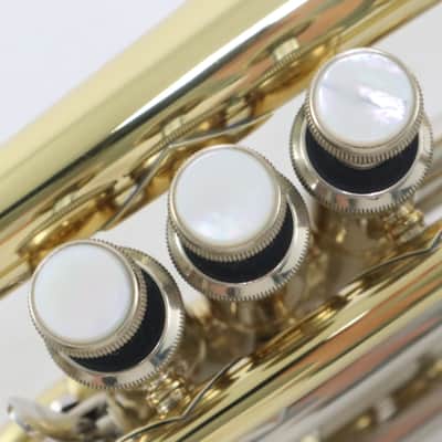Bach Model 184 Stradivarius Shepherd's Crook Cornet SN 773603 UNUSED image 23