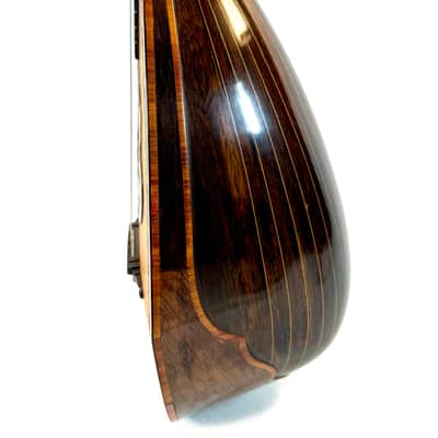 Umberto Ceccherini Mandola / Octave Mandolin (Giovanni Palladino Label) 1896 image 10