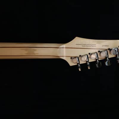 Ibanez JEM77P-BFP Steve Vai Signature 2015 - Present - Blue Floral Pattern image 10