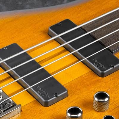 Ibanez SRF705 BBF Bass Workshop Fretless 5 String Electric Bass. Brown Burst Flat image 8
