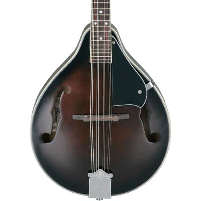 Vintage Rex Professional Bowlback Mandolin | Reverb