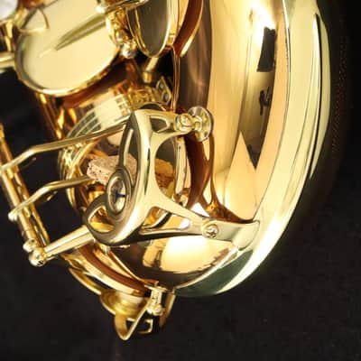 YANAGISAWA Tenor T-WO20 Bronze Tenor Saxophone SN.0036xxxx (All pads replaced) [360441] (06/12) image 13