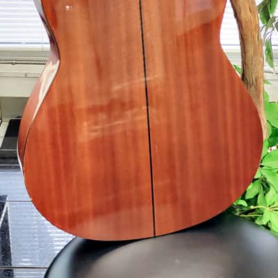 Enrique Tapicas C40 Cadiz Classical Guitar by Washburn - Natural image 12
