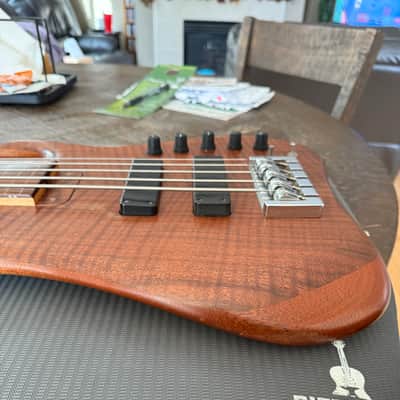 Hanewinckel Custom Pro Series 5-string Fretless Bass image 7