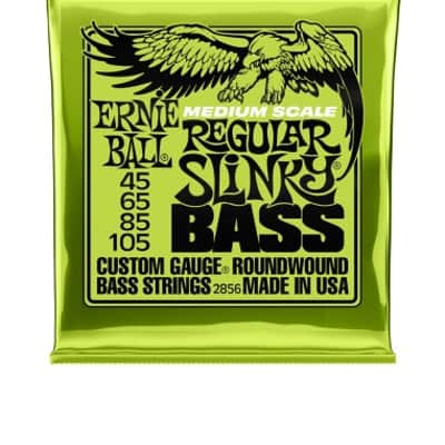 Ernie Ball 2856 Regular Slinky Nickel Wound Medium Scale image 1
