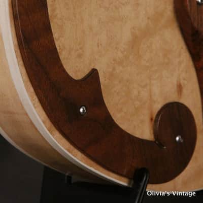 R.C. Allen Bigsby Guitar 2000s image 8