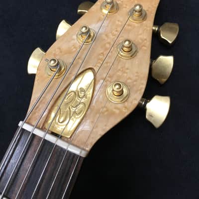 RKS Open Architecture Concept Guitar Leather #V33 1689 image 11