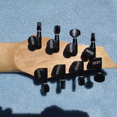 Kiesel Aries 8 AM8 Multiscale Black Raw Tone image 17