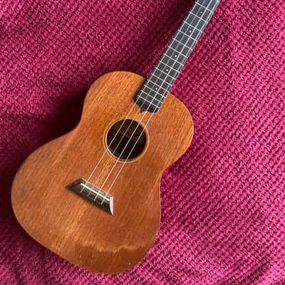 Ashbury AU-24B Baritone Ukulele (with pickup/jack) image 1