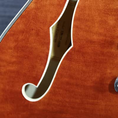 Eastman T59/TV-AMB Amber Semi-Hollowbody Electric Guitar image 8
