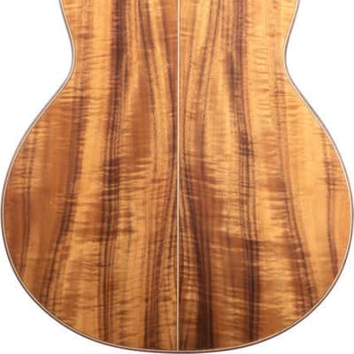 Washburn GM55 Koa Grand Auditorium Acoustic Guitar, Koa Top image 3