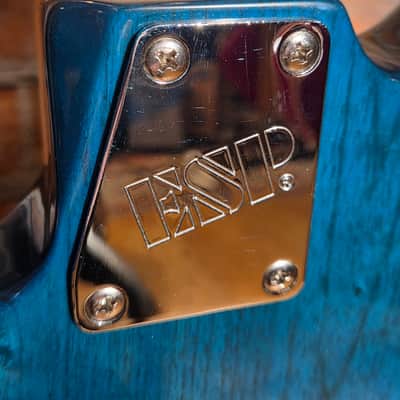 ESP LTD XJ-6 2013 - 2014 - See Thru Blue image 17