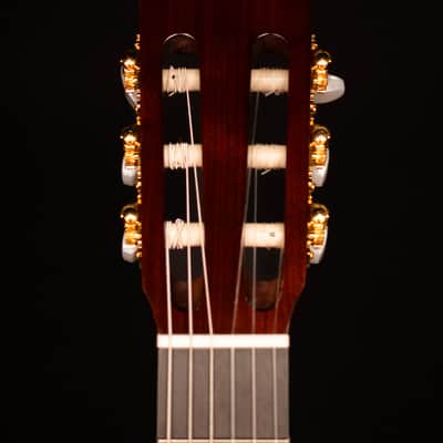 Yamaha CG182C Classical Acoustic Guitar image 9