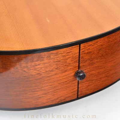 2008 GOLDTONE TG-18 TENOR GUITAR image 10