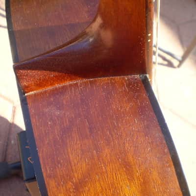 Immagine Alvarez Regent Grateful Dead Model # 69476-5210 Natural - 6