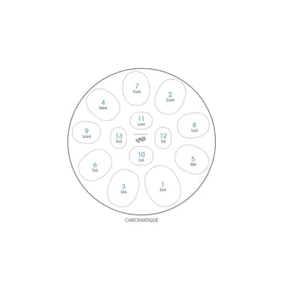 Metal Sounds Spacedrum Evolution 13 notes Chromatic / 13-Note Spacedrum Evolution Chromatic Handpan image 8