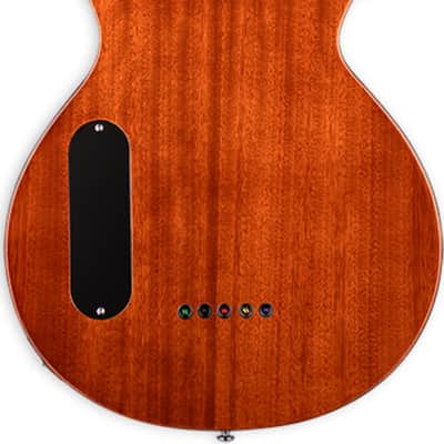 ESP LTD TL-5 Thinline 5-String Acoustic-Electric Bass Guitar, Rosewood Fingerboard image 3