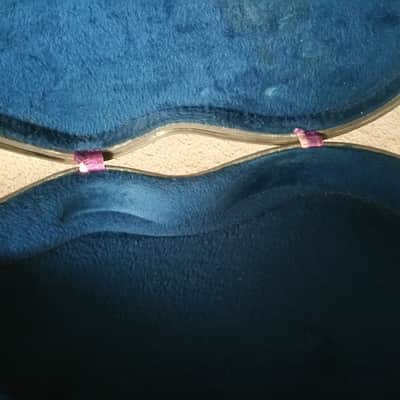 Vintage 1960's Epiphone Casino Guitar Case image 3