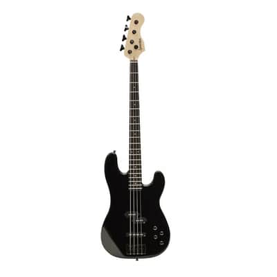 Spector Coda PJ 4 Pro