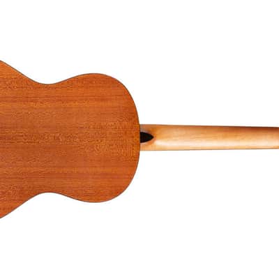Cordoba Protege C1M 3/4 Size Nylon Guitar image 2