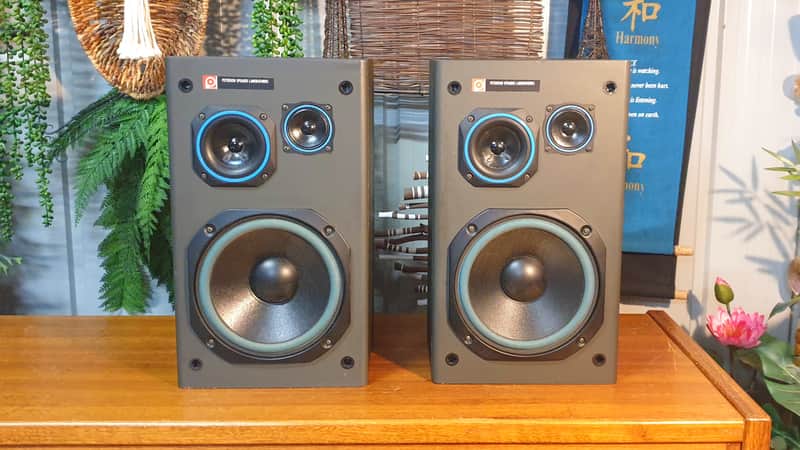 Vintage 3-Way Bookshelf Speakers by Peterson Speaker Laboratories circa 1990s image 1