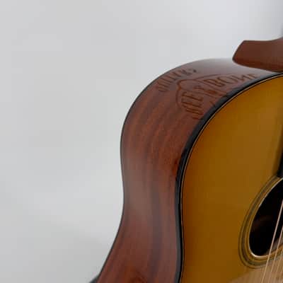 Bedell 1964 Special Edition Dreadnought image 5