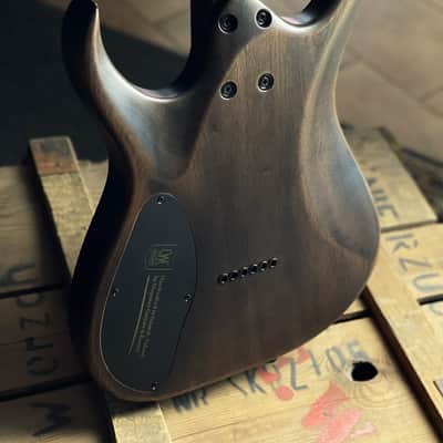 Mayones Mayones Duvell Elite 6 Blue Feather Custom shop  2021 image 10