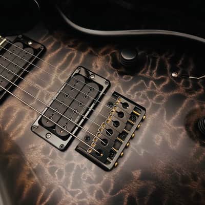 PRS Mark Holcomb Signature 10-Top image 5